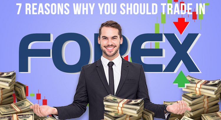 7 Reasons Why You Should Trade in  in forx
